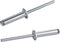 100 PCs 5/32'' x 1/4'' Aluminum Blind Rivets, Pack of 100 CT 4mm x 6mm Pop Rivets with Aluminum Grip and Steel Mandrel