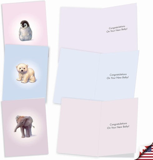 The Best Card Company 20 Assorted Baby Notecards Box Set, 4 x 5.12 Inch with Envelopes, Zoo Babies AM6726BBG-B2x10