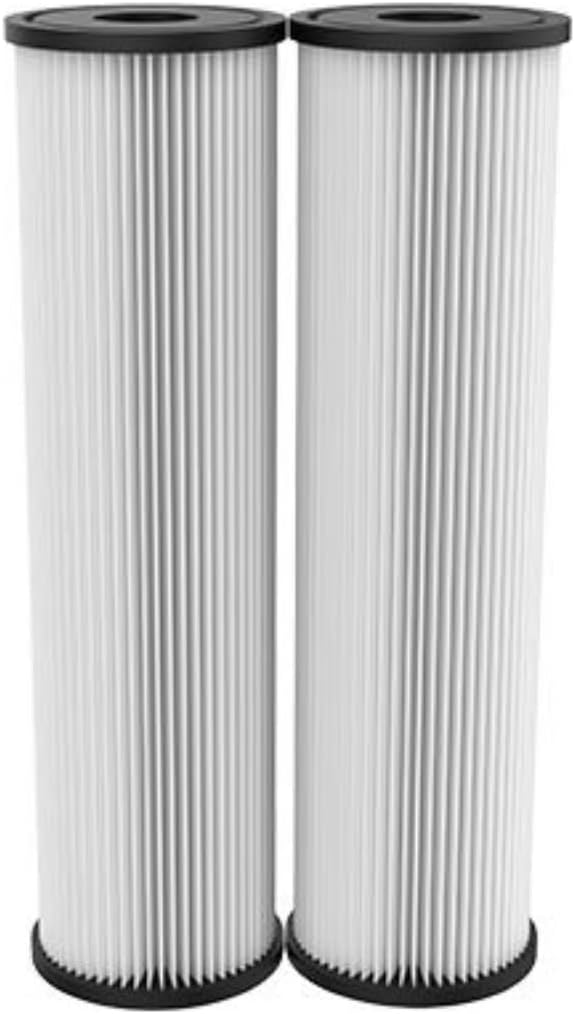 Pentair OMNIFilter RS1 Sediment Water Filter Cartridge, 10" x 2.5", Pack of 2, 20 Micron