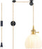 Plug in Pendant Light Fixtures, Hanging Light Fixture Vintage Glass Pendant Light,