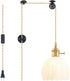 Plug in Pendant Light Fixtures, Hanging Light Fixture Vintage Glass Pendant Light,