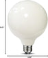 Bulbs Dimmable 60 G40(G125) 6-Watt(60-Watt Bulb,E26 (5000K) Pack 1 MRDENG Led Globe Light Watt Replacement,Large
