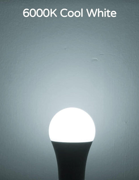 Torkase 13W Dusk to Dawn Light Bulbs, No Timer Required, 1100lm (100W Equivalent), 6000K Daylight, E26 A19 Automatic