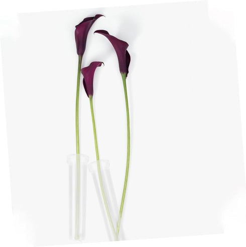 1set Sosoport Flower Water Tubes for Fresh Flowers for Roses Carnations and Sunflowers Tubes for Floral Arrangements