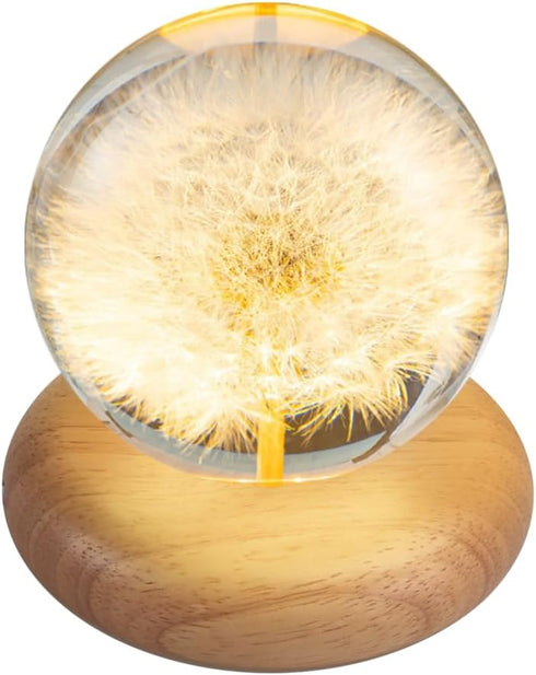 DONGKER Daisy Decor Night Light,Dandelions Crystal Ball Light with Wooden Base &
