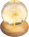 DONGKER Daisy Decor Night Light,Dandelions Crystal Ball Light with Wooden Base &