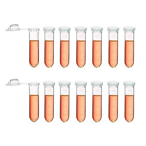 Centrifuge Tubes 200 Pack 2ml Polypropylene Clear Graduated Micro Test Tubes with Snap Cap