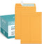 Eupako Catalog Envelopes - 6x9 Small Brown Self Seal Envelopes, 250 Pack for Mailing, Organizing, Storage