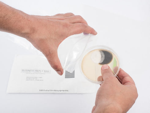Supreme DIY Mold Test Kit for Home Air Quality, Air and Surface Testing, Pre-Paid Return Mailer, Expert Consultation