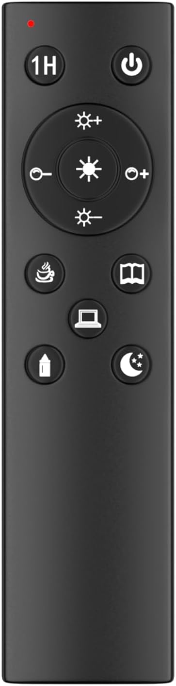 PACOVY Floor Lamp Remote Control