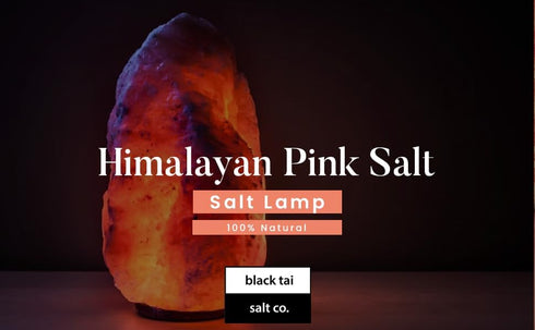 15-20 Black Tai Salt Co. POUNDS Himalayan Salt Crystal Lamp Natural Decorative Pink Salt Light with Cord Ideal