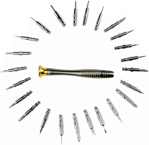 25PCS Mini Screwdriver Set with Case, Precision Screwdriver Kit with 6 Different Size Flathead and Phillips Screwdrivers, Perfect mini Screwdriver Bits for Jewelry, Watch, Eyeglass Repair