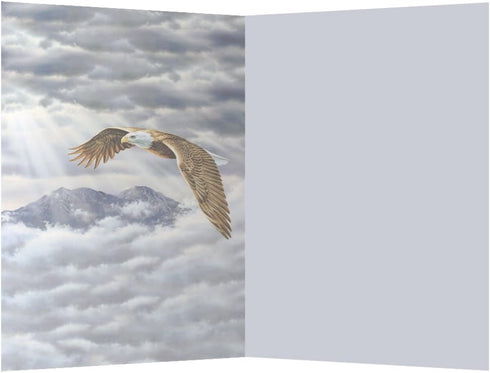 Tree-Free Greetings ECOnotes Notecard Set, 4 x 6 Inches, 12-Count Notecards with Envelopes, Eagle Spirit (66685) by Tree-Free Greetings