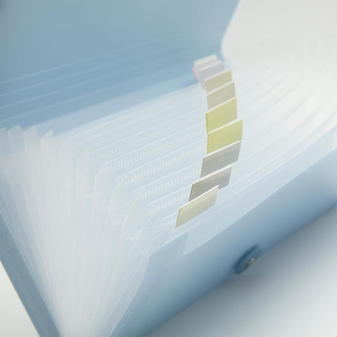 Small Accordion File Organizer - 13 Pocket Expanding Folder for Bills, Receipts, and Envelopes - Money Saving Binder