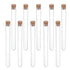 10Pcs Clear Plastic Test Tubes with Cork Stoppers, 15x150mm 13ml for Jewelry Seed Beads Powder Storage