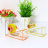 Metal Wire Tape Dispenser Desktop Tape Holder Tape Cutter for Home School Office Supplies, 1 Piece (Gold) by Teensery