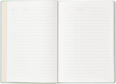 Maruman MNEMOSYNE A5 Journal Notebook, 8.5 x 6.02 Inches, 120 Pages, Mint Green, Hard Cover