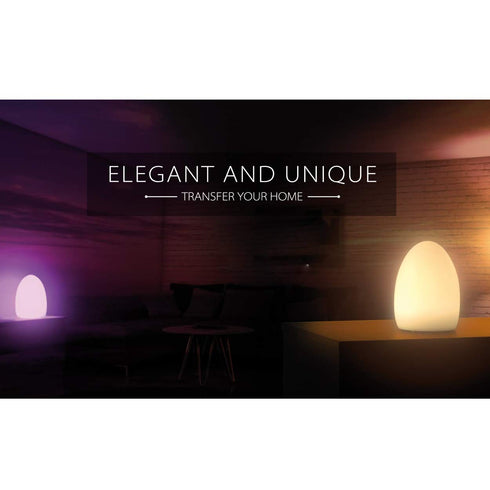 8-Inch Dimmable 16 8 Mr.Go Rechargeable LED Egg Light - Baby Night Light with Remote, Colors & Brightness, Waterproof