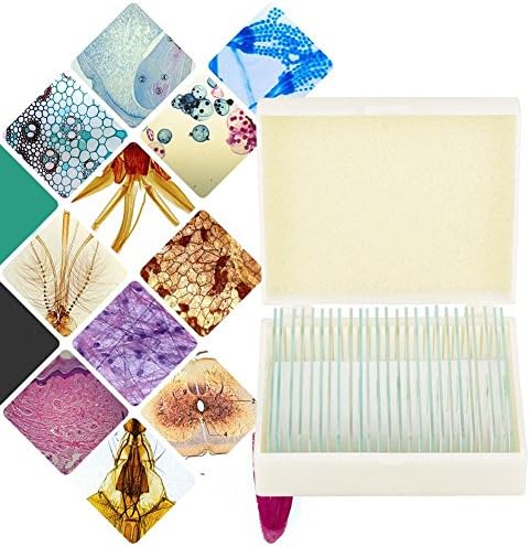 Prepared Microscope Slides 25pcs, Biology Glass Lab Specimens for Basic Science Education with Labels and Case