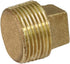 CSTQ0012 1/2-Inch Male National Taper Threads Solid Plug with Square Head, Lead-Free Brass Pipe Fitting, 25 Count