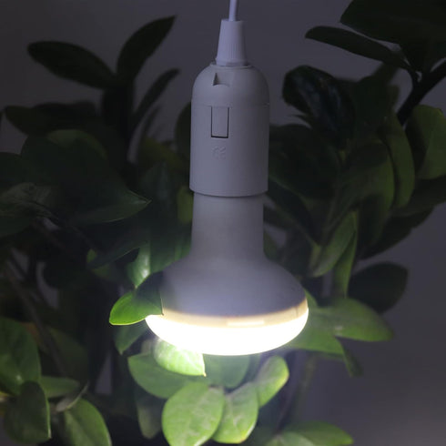 2 Packs 6.5FT/2M E26/E27 Bulb Bulb (6.5FT 2Packs) Pendant Light Socket Kits lamp Holder with Cord on/Off Switch