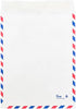 JAM PAPER Tyvek Tear-Proof Open End Catalog Envelopes - 10 x 13 - White Airmail - 25/Pack