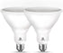 ENERGETIC PAR38 LED Flood Light Bulb, 5000K Daylight, 90W Equivalent, 11W Efficient, 900 Lumens, 2 Pack, Wet Rated