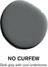 BACKDROP Premium Interior Paint Large Adhesive Paint Swatch NO CURFEW - Dark Gray With Cool Undertones 12" x 12"
