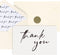 Thank You Cards with Envelopes Ivory,100 PK,Wedding Thank You Cards 4x6 Inch,