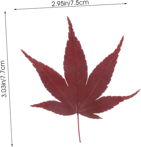 Natural Maple Leaf Sushi Decorations - Elegant Food Presentation