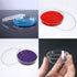 20 Pcs Plastic Petri Dishes with Lids, 60x15mm Sterile Culture Dishes