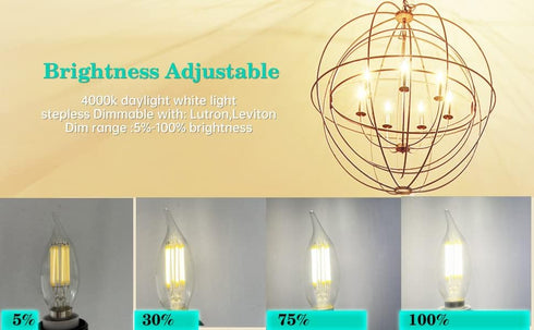 AMDTU 4000k Dimmable LED Chandelier Light Bulbs, 6 Pack, E12 Daylight White, 6W 60Watt Equivalent for Kitchen, Dining
