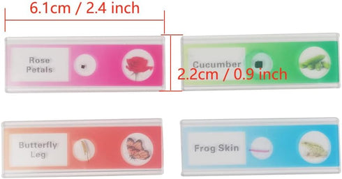 48pcs Kids Plastic Prepared Microscope Slides of Animals, Insects, Plants, Flowers Sample Specimens for Microscopes