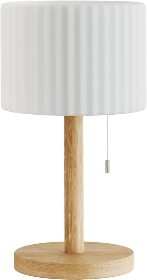 FUYO 7 4000mAH Dimmable Shower Lamp Waterproof Warm White & Colors, Battery Powered Lamp Cordless with Remote