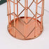 Pen Holder for Desk, Makeup Brush Holder, Rose Gold Metal Wire Pencil Cup Holders
