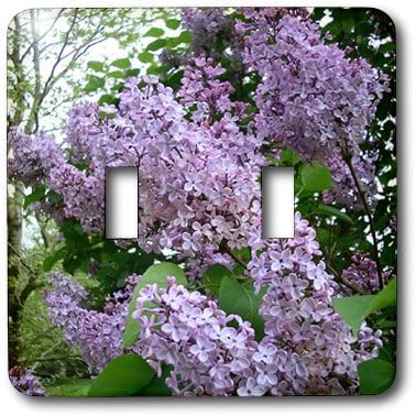 3dRose lsp_3139_2 Lilac Double Toggle Switch