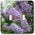 3dRose lsp_3139_2 Lilac Double Toggle Switch