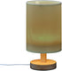 YEGAME Olive Green Solid Color Bedside Table Lamp for Bedroom Nightstand, Small Eye Care LED Desk Reading Lamp USB Port