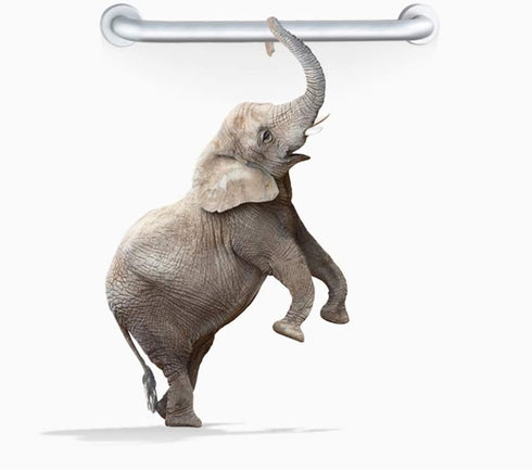 ZEELYDE Shower Handle,Shower Grab Bar,Grab Bars Handle Safety Support Hand Rails, Bathroom Safety Grab Bar Bathroom