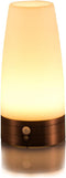 ZEEFO Retro LED Night Light with PIR Motion Sensor, Battery Operated Indoor/Outdoor Table Lamp for Kids Room