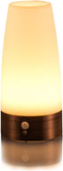 ZEEFO Retro LED Night Light with PIR Motion Sensor, Battery Operated Indoor/Outdoor Table Lamp for Kids Room