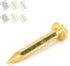 Brass Escutcheon Tacks, Round Head Nail Furniture Hinge Hardware Assortment Kit, 100Pcs 10mm Upholstery Tack Metal
