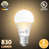 AmeriTop A19 LED Light Bulbs- 6 Pack, Efficient 9W(60W Equivalent) 830 Lumens General Lighting Bulbs, UL Listed, Non-Dimmable, E26 Standard Base (3000K Warm White) by AmeriTop