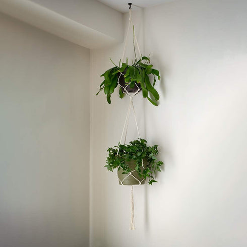 uxcell 2 Pack Ceiling Hook Kit, White Finish Plant Hanging Ceiling Hook