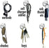 Teacher TACKz 66 Tacks - School Supplies for Teacher's Class Room - 2 in 1 Push pin Hook tack • Banners, Signs, Word Wall Name Letter Fact Family Flash Matching Number Pocket Spelling & Word Cards