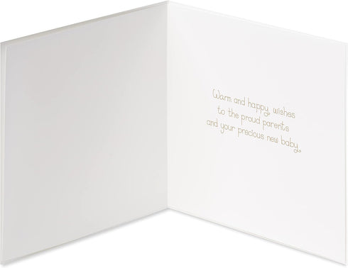 Papyrus New Baby Card - Designed by House of Turnowsky (Warm and Happy Wishes)