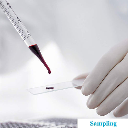 5PCS Thick Glass Graduated Dropper Pipettes, Fluid and Liquid Pipettors, 1ml 2ml 5ml with Caps and Washing Brushes