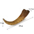 Pumnao Fossilized Teeth and Claws of Various Prehistoric Dinosaurs, Megalodon Shark Teeth, and High-Fidelity Replicas