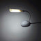 XISAOK 360 Battery Powered LED Desk Lamp Degree Rotation Adjustable Gooseneck Hose Eye for Protection Study Table