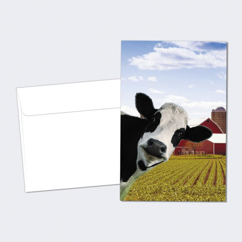 Tree-Free Greetings EcoNotes 12 Count Cow Photobomb All Occasion Notecard Set with Envelopes